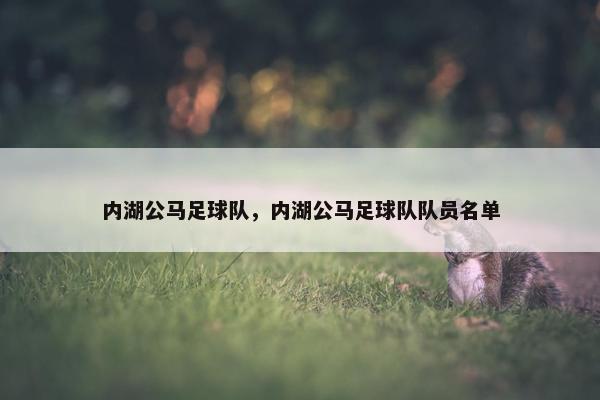 内湖公马足球队，内湖公马足球队队员名单