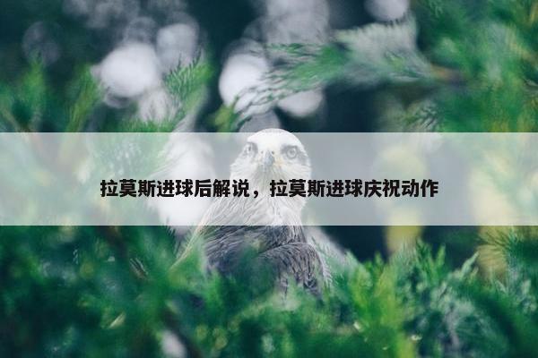 拉莫斯进球后解说，拉莫斯进球庆祝动作