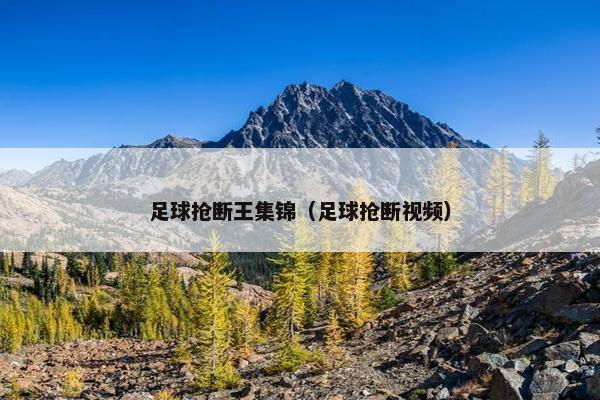 足球抢断王集锦（足球抢断视频）