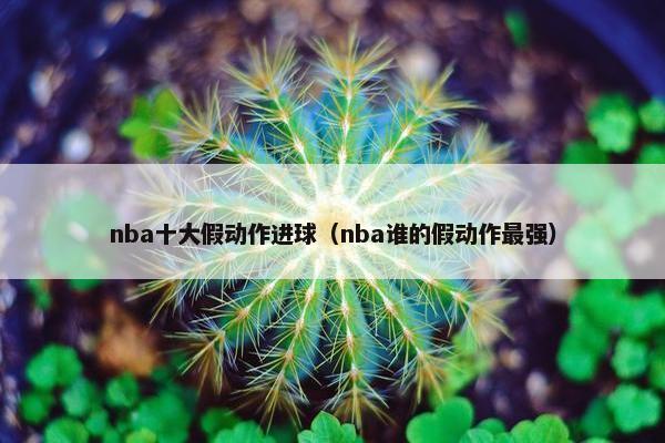 nba十大假动作进球（nba谁的假动作最强）