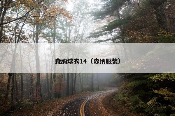 森纳球衣14（森纳服装）