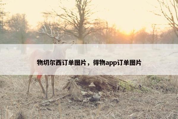 物切尔西订单图片，得物app订单图片