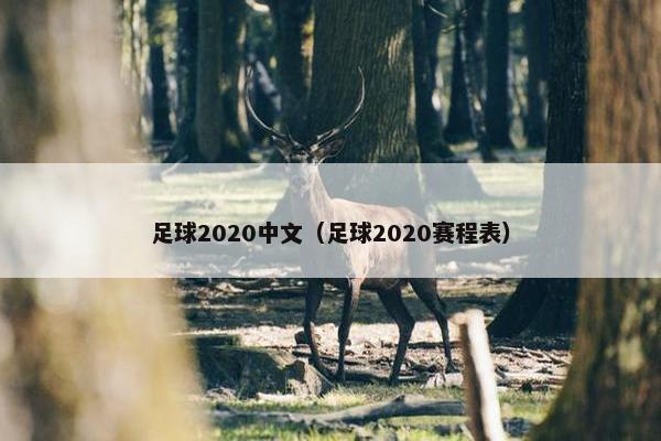 足球2020中文（足球2020赛程表）