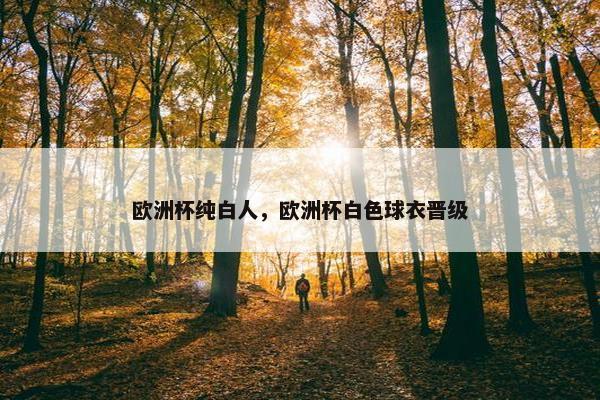 欧洲杯纯白人，欧洲杯白色球衣晋级