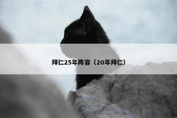 拜仁25年阵容（20年拜仁）