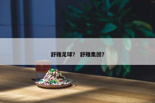 舒雅足球？ 舒雅集团？