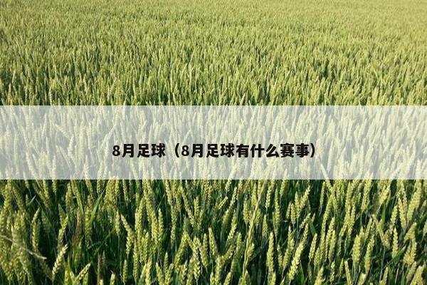 8月足球（8月足球有什么赛事）