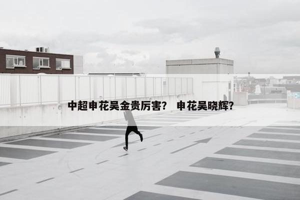 中超申花吴金贵厉害？ 申花吴晓辉？