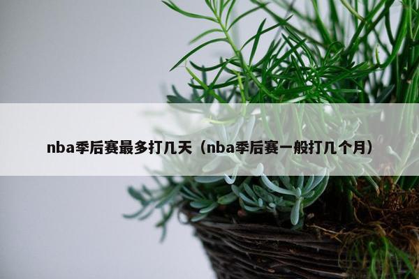 nba季后赛最多打几天（nba季后赛一般打几个月）