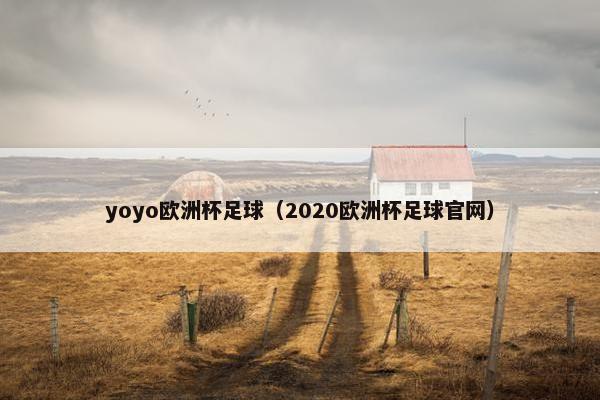 yoyo欧洲杯足球（2020欧洲杯足球官网）