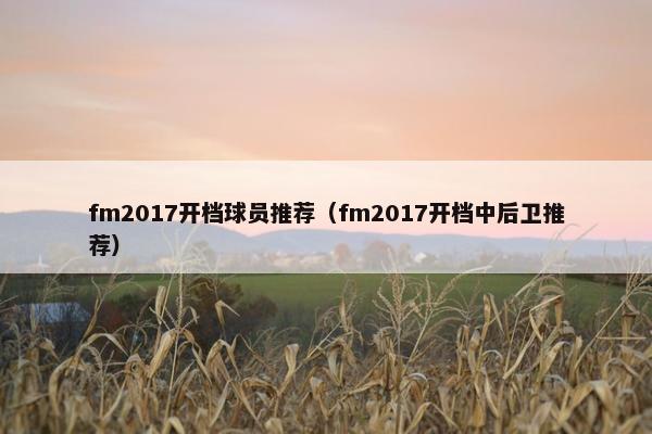 fm2017开档球员推荐（fm2017开档中后卫推荐）