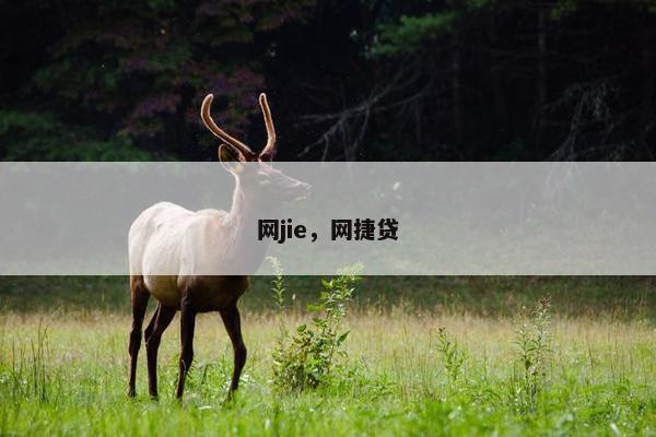 网jie，网捷贷