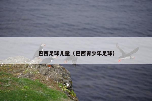 巴西足球儿童（巴西青少年足球）