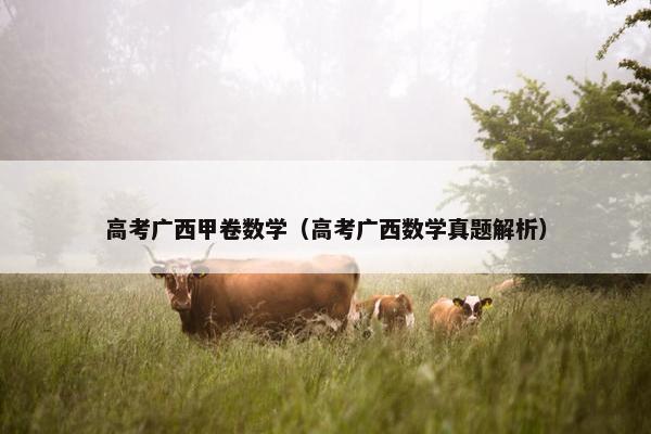 高考广西甲卷数学（高考广西数学真题解析）