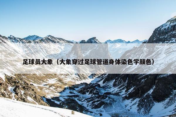 足球员大象（大象穿过足球管道身体染色学颜色）