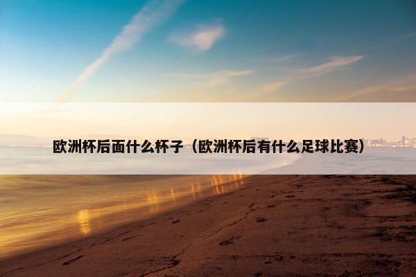 欧洲杯后面什么杯子（欧洲杯后有什么足球比赛）