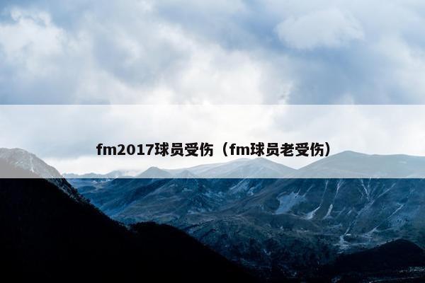 fm2017球员受伤（fm球员老受伤）