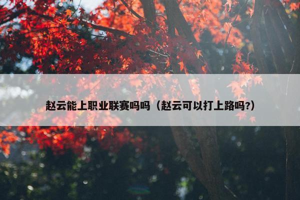 赵云能上职业联赛吗吗（赵云可以打上路吗?）