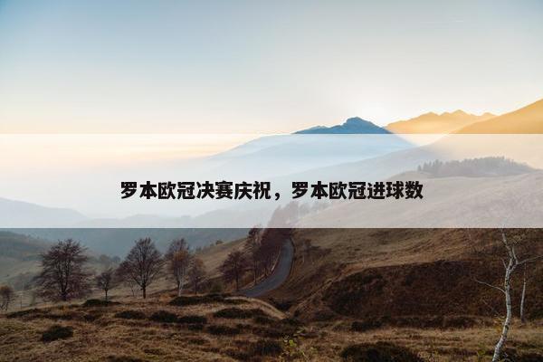 罗本欧冠决赛庆祝，罗本欧冠进球数
