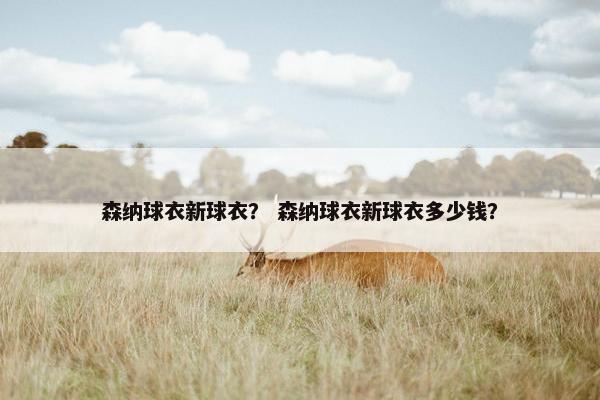 森纳球衣新球衣？ 森纳球衣新球衣多少钱？