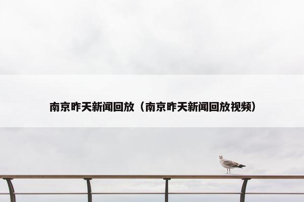 南京昨天新闻回放（南京昨天新闻回放视频）