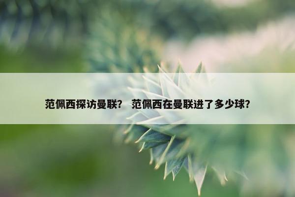 范佩西探访曼联？ 范佩西在曼联进了多少球？
