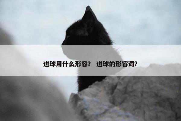 进球用什么形容？ 进球的形容词？