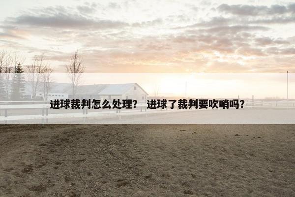 进球裁判怎么处理？ 进球了裁判要吹哨吗？