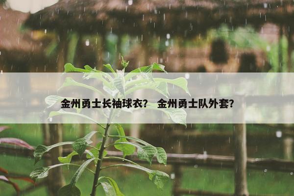 金州勇士长袖球衣？ 金州勇士队外套？