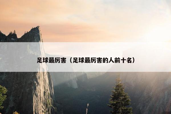 足球最厉害（足球最厉害的人前十名）