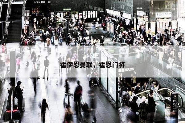 霍伊恩曼联，霍恩门将
