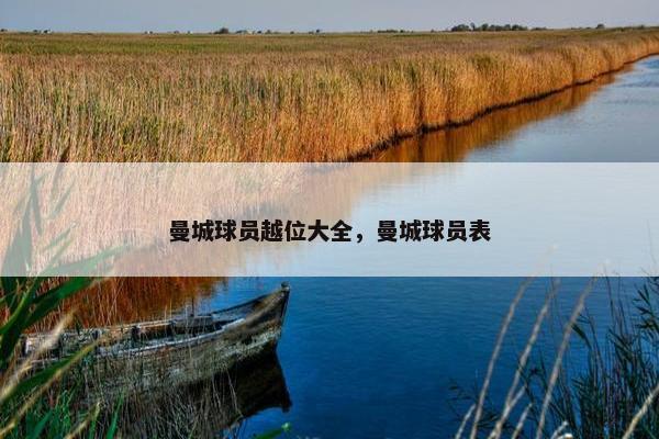 曼城球员越位大全，曼城球员表