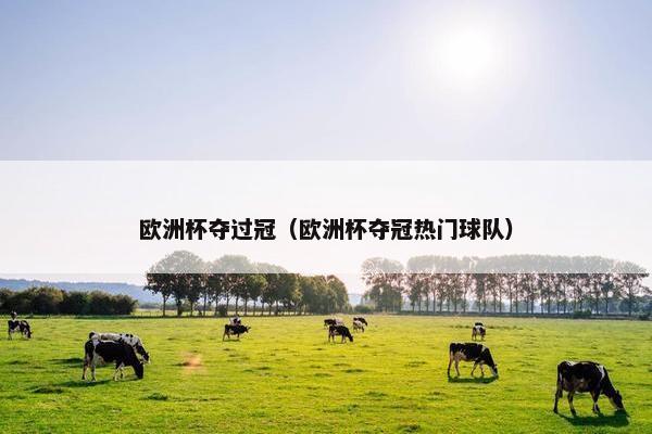 欧洲杯夺过冠（欧洲杯夺冠热门球队）
