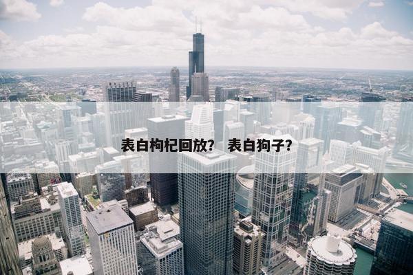 表白枸杞回放？ 表白狗子？