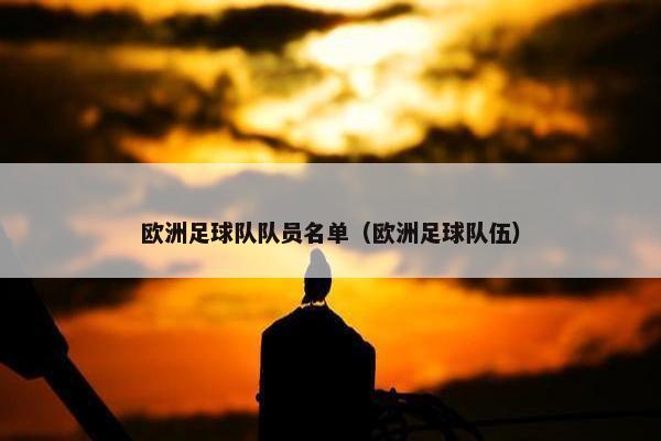 欧洲足球队队员名单（欧洲足球队伍）