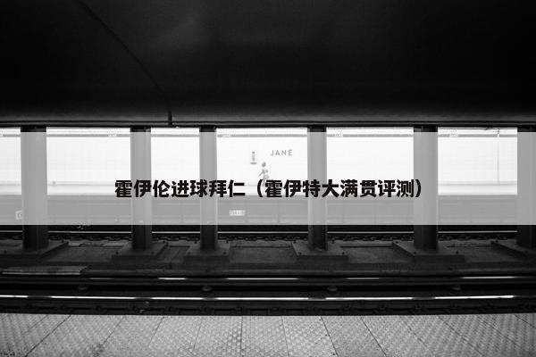 霍伊伦进球拜仁（霍伊特大满贯评测）