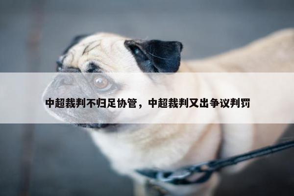 中超裁判不归足协管，中超裁判又出争议判罚