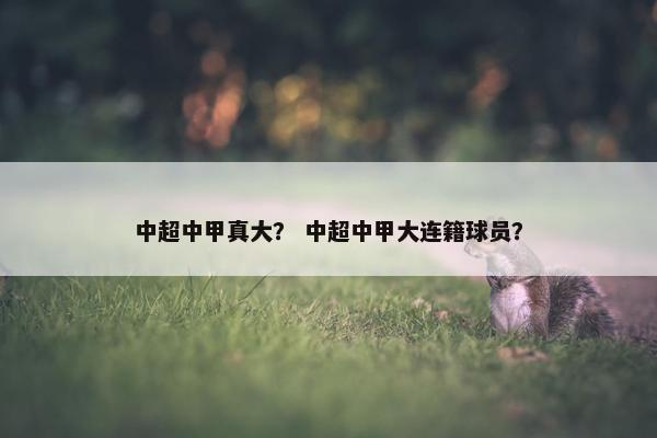 中超中甲真大？ 中超中甲大连籍球员？