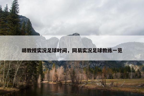 胡教授实况足球时间，网易实况足球教练一览