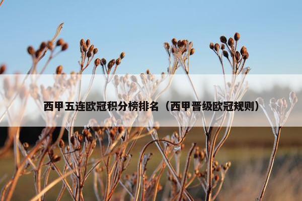 西甲五连欧冠积分榜排名（西甲晋级欧冠规则）