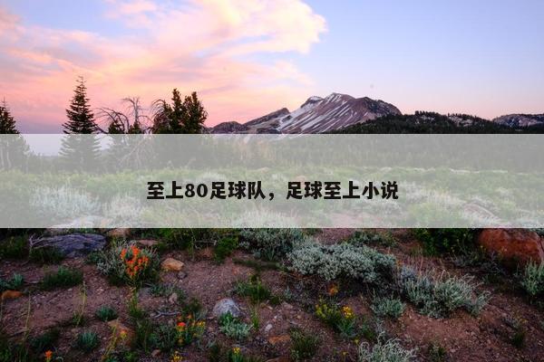 至上80足球队，足球至上小说