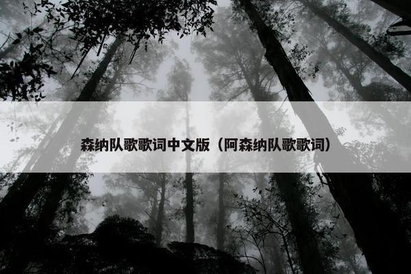 森纳队歌歌词中文版（阿森纳队歌歌词）