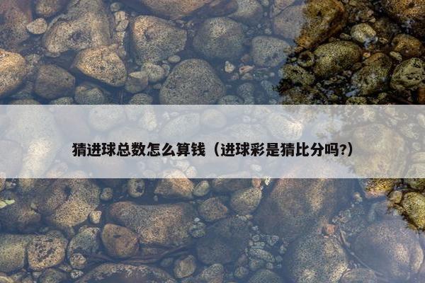 猜进球总数怎么算钱（进球彩是猜比分吗?）