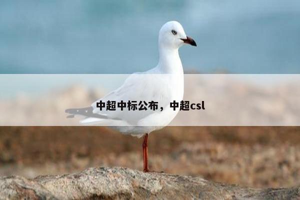 中超中标公布，中超csl