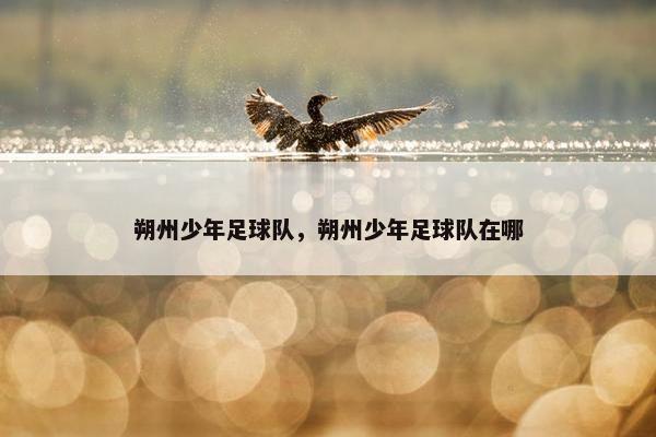 朔州少年足球队，朔州少年足球队在哪