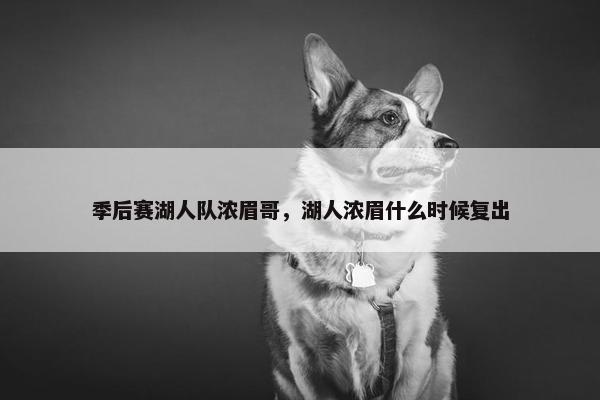 季后赛湖人队浓眉哥，湖人浓眉什么时候复出