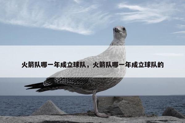 火箭队哪一年成立球队，火箭队哪一年成立球队的