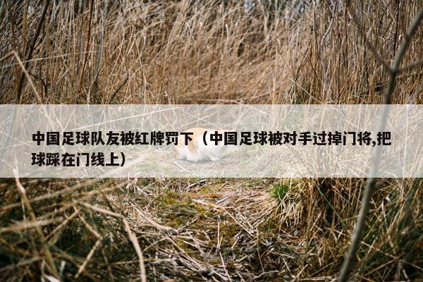 中国足球队友被红牌罚下（中国足球被对手过掉门将,把球踩在门线上）