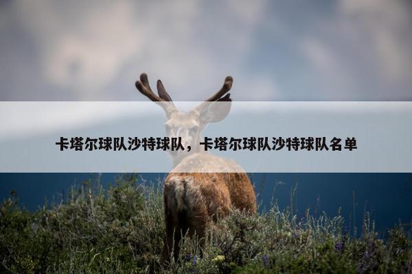 卡塔尔球队沙特球队，卡塔尔球队沙特球队名单