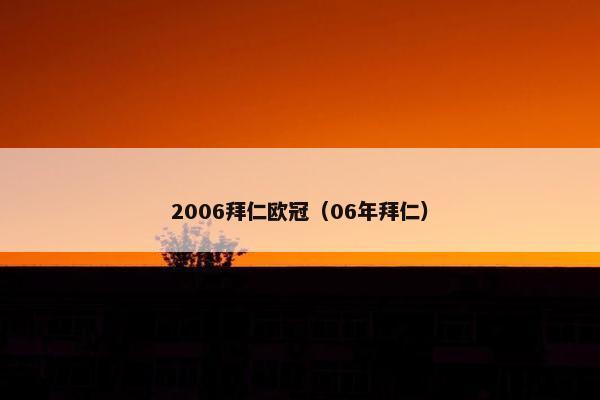 2006拜仁欧冠（06年拜仁）